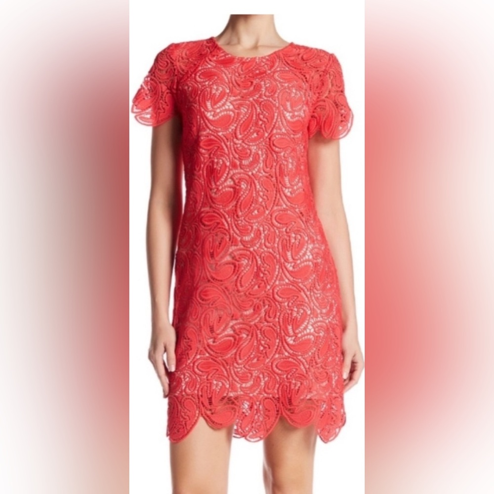Shoshanna Rae Guipere Coral Lace Dress NWOT